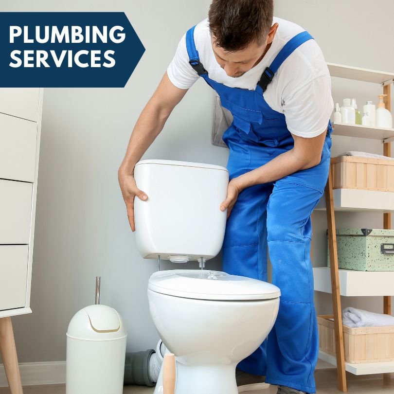 Plumbing Company in Mediapolis, IA